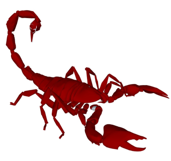 精品动物模型 蝎子 (1)